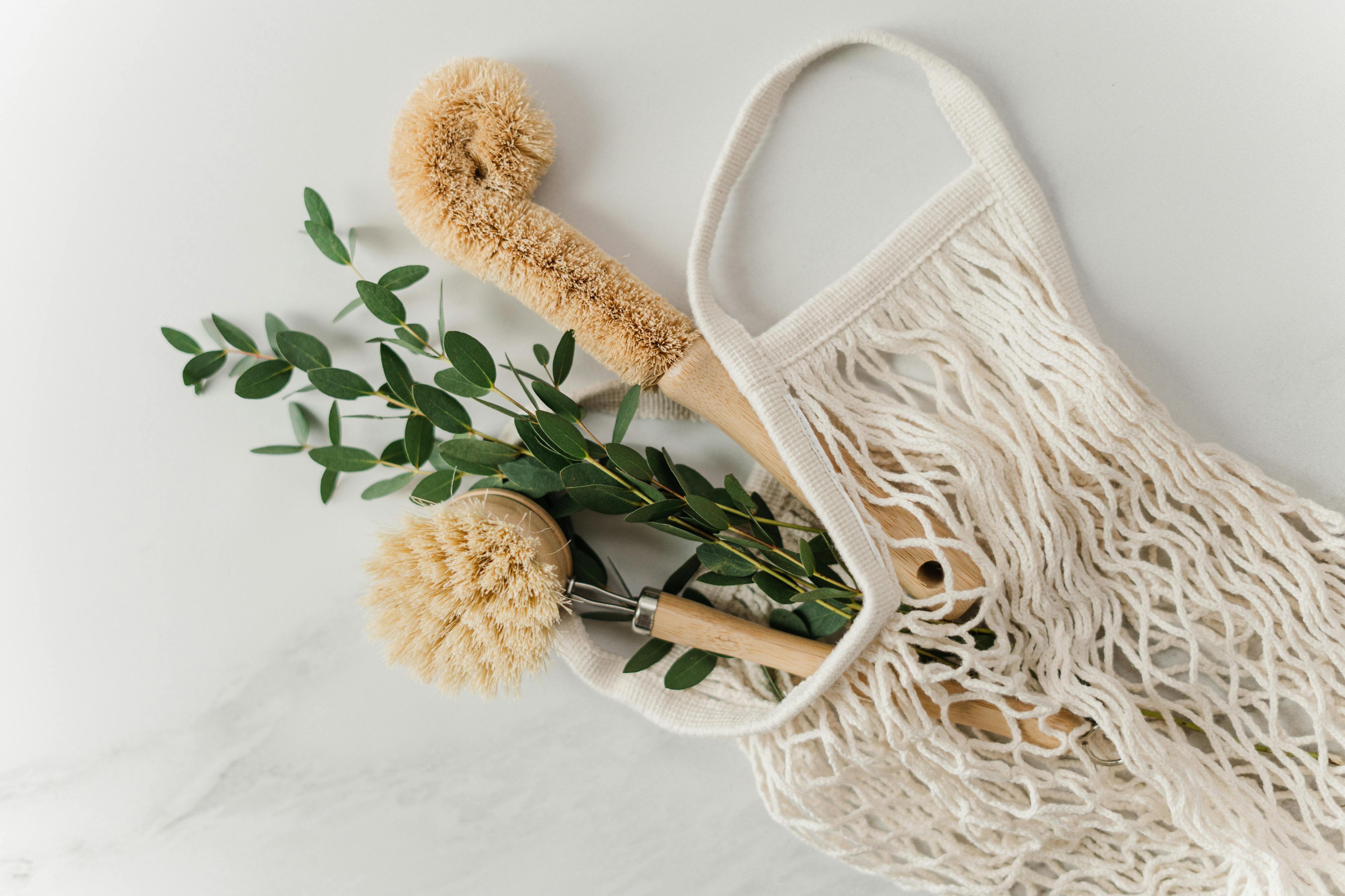Organize. Refresh. Inspire.